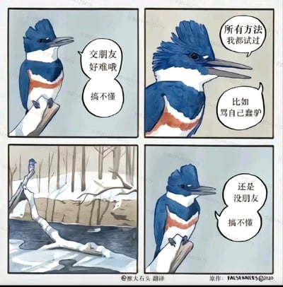 这是一则四格连环卡通漫画，主角是一只拟人化的蓝翠鸟。第一格中，翠鸟站在树枝上，面露困惑地表达自己对交友的迷茫：“交朋友好难哦 搞不懂”；第二格中，翠鸟展开头部的羽冠，称自己尝试过所有能想到的交友方法，举例说“比如骂自己蠢驴”，用荒诞的方式展现其错误的交友思路；第三格是远景镜头，翠鸟独自站在冬日河边的枯树枝上，周围是萧瑟的树林，凸显出它的孤单；第四格回到近景，翠鸟依旧困惑地表示“还是没朋友 搞不懂”，呼应开篇的迷茫，用无厘头的情节制造幽默效果，调侃了社交中的无措与错误尝试。