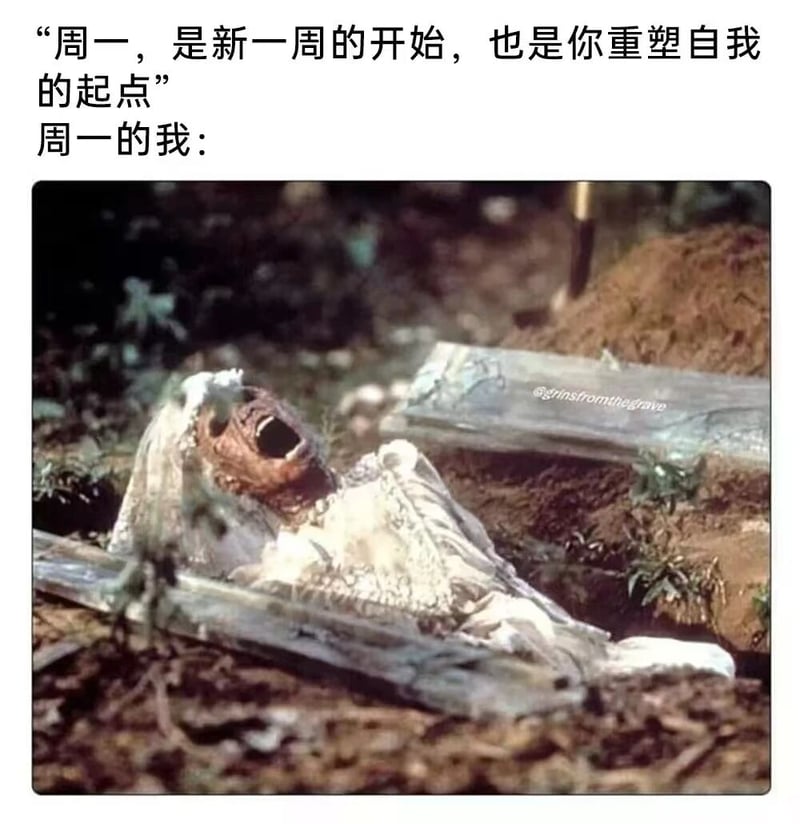 丧尸电影（如《活死人之夜》）