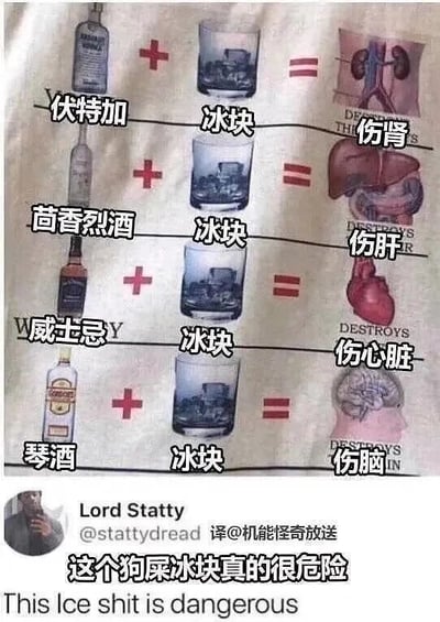 这是一张采用图文混排形式的文字加注静态梗图，同时属于社交媒体截图。图片分为四行依次展示四组内容：第一行是伏特加搭配冰块，对应标注“伤肾”的肾脏图示；第二行是茴香烈酒搭配冰块，对应标注“伤肝”的肝脏图示；第三行是威士忌搭配冰块，对应标注“伤心脏”的心脏图示；第四行是琴酒搭配冰块，对应标注“伤脑”的大脑图示。图片底部是社交平台用户Lord Statty的头像及发言，配文“这个狗屎冰块真的很危险”，英文原文为“This Ice shit is dangerous”，通过反讽的荒诞逻辑，将饮酒对身体不同器官的伤害甩锅给搭配的冰块，以此制造幽默搞笑的效果。