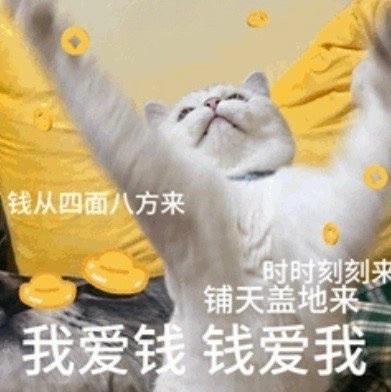 图片中是一只白色猫咪，躺在黄色背景上，双爪向上举起，眼睛微闭，嘴巴微张，表情放松愉悦。周围散落着黄色的硬币图案，图片上覆盖文字：“钱从四面八方来 时时刻刻来 铺天盖地来 我爱钱 钱爱我”。整体表达了对金钱的渴望，风格幽默轻松，常用于社交媒体表达招财的美好愿望。