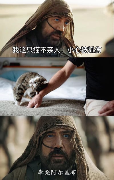 这是一张由三部分内容拼接而成的搞笑梗图，第一部分截取了科幻电影《沙丘》中的角色画面，配文“我这只猫不亲人，小心被抓伤”，营造出猫很凶的预期；第二部分是一张宠物日常截图，一只花纹猫正亲昵地蹭着人的手臂，完全没有抓人的迹象，和前文形成强烈反差；第三部分回到《沙丘》的角色画面，角色露出震惊的表情，配文“李桑阿尔盖布”——该台词出自《沙丘》，是弗雷曼人对天选之子的尊称，这里玩梗表示这个人是猫的“天选之子”，猫对别人凶却唯独对他亲昵，通过影视台词和宠物画面的结合，用反差感制造搞笑效果。