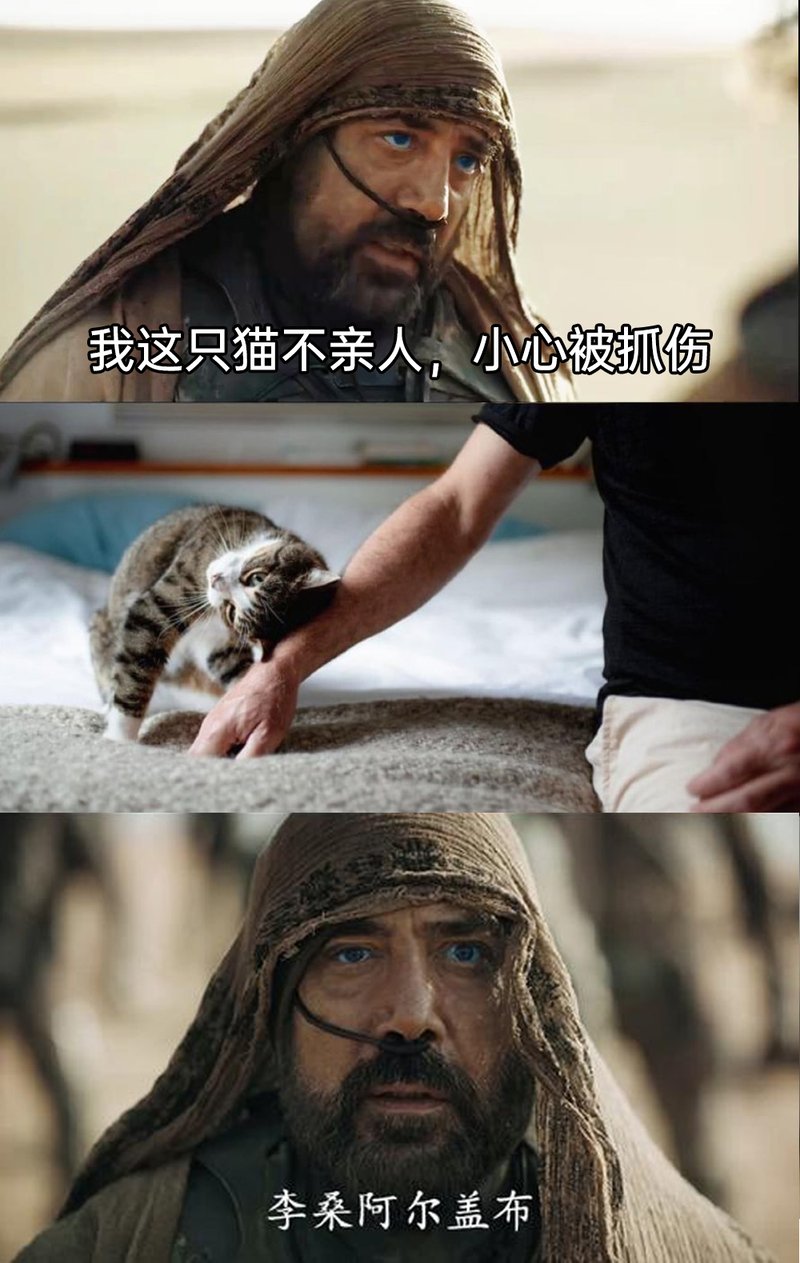 沙丘