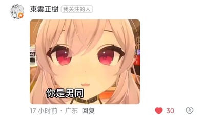 这是一张社交媒体平台的回复截图，用户“東雲正樹”发布了一张出自游戏《蔚蓝档案》的二次元女性角色空崎日奈的截图，角色有着浅粉色长发与红色眼眸，表情平静地直视镜头，图上被添加了醒目的黑色文字“你是男同”。该回复发布于17小时前的广东地区，获得了30次点赞，属于网络上常见的用二次元角色配直白文字来玩梗调侃的内容，没有双关、谐音梗或暗示类内容。