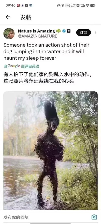 这是一张海外社交媒体的截图，账号Nature is Amazing分享了一张宠物狗跳水瞬间的抓拍照片。因为狗狗刚从水里起身，湿毛发炸起的造型让它看起来像一个有着爆炸头、类人躯干的诡异生物，巨大的反差感让这张照片既搞笑又离谱，配文表示这张图会永远萦绕在心头，没有双关或谐音梗，纯粹是抓拍巧合造成的视觉趣味。