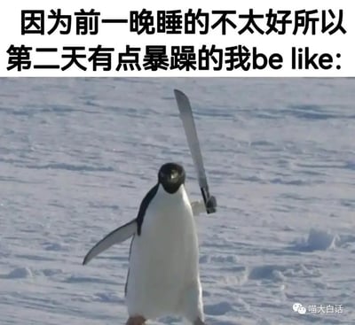 这张梗图上方有文字：“因为前一晚睡的不太好所以第二天有点暴躁的我be like:”，下方配图是一只企鹅似乎举着一把大刀，神态有些呆萌但配合武器显得很“暴力”。图像通过反差制造幽默，将因为没睡好的暴躁心情比喻成“企鹅持刀”的威胁感，极具夸张感，并用“be like”这种网络流行表达增加幽默色彩。

值得注意的双关/暗示：
- “be like:”为网络流行语句式，表达“我当时的样子就像……”
- 企鹅持刀这一夸张的组合，侧面形容了暴躁其实有些可爱无害。
