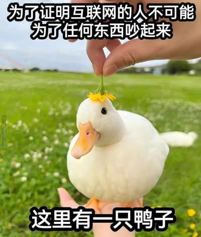 图片展示了一只可爱的白色鸭子，被人用手托着，头上还放着一朵黄色的小花。背景是一片绿色的草地，环境清新自然。图片上方配有文字“为了证明互联网的人不可能为了任何东西吵起来”，下方配有文字“这里有一只鸭子”。这张图通过可爱的鸭子形象和幽默的文字，暗示了互联网上人们容易为各种小事争论不休的现象，即使是面对这样一只无辜的鸭子，也可能引发讨论。