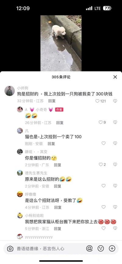 这是一张竖屏格式的社交媒体评论区截图，顶部配图是一只站在积水水泥边的浅色流浪小狗，评论区共有305条评论。用户“小帅狗”留言称“狗是招财的，我上次捡到一只狗被我卖了300块钱”，该评论获得121个赞；内容作者“A 💗 小奇奇 💗”回复了笑哭的表情；随后用户“凡”留言“猫也是-上次捡到一个卖了100”，其他网友纷纷调侃这种另类的“招财”方式，比如“你是懂招财的”“原来是这么招财的”等，还有用户表达不满，留言“我想把我家猫从柜台搬下来把你放上去”并配上愤怒表情，整个评论区围绕着将捡到的流浪猫狗变卖当作“招财”的行为展开讨论和玩梗。