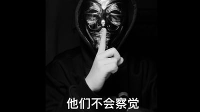 整张图为黑白色调，主体是一名身着黑色连帽上衣、佩戴V字仇杀队面具的人物，他抬起右手将食指放在嘴前做出噤声的示意动作，图片底部配有白色醒目文字“他们不会察觉”，整体刻意营造神秘耍酷的氛围，契合“嘉豪”热梗调侃爱装酷、行为中二的特点。