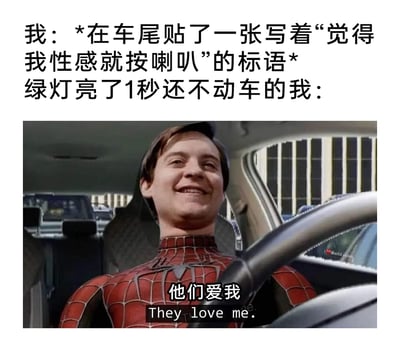 这是一张搞笑改编梗图，上方文字设定情景：车主在自己的车尾贴了“觉得我性感就按喇叭”的趣味标语，当绿灯亮起1秒车主还没动车时，车主的内心活动用下方的影视截图呈现。截图是托比·马奎尔版的蜘蛛侠坐在驾驶座上，面带陶醉的微笑，配文“他们爱我 They love me.”，实际上后方车辆按喇叭是因为绿灯亮起催促车主开车，车主却错将催车的喇叭当成是大家因为喜欢自己而按喇叭，这种认知反差制造出了搞笑的效果。