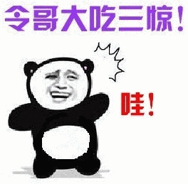 令哥大吃一惊！熊猫惊讶表情包