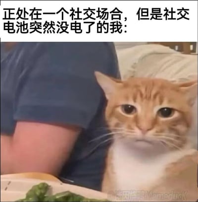 这张梗图用幽默方式展现了社交疲惫的状态。上方文字描述场景："正处在一个社交场合，但是社交电池突然没电了的我："，下方是一只表情疲惫的橘猫，完美诠释了社交能量耗尽的无奈感受。