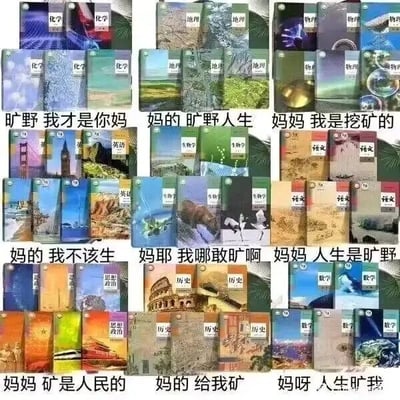 这是一张九宫格形式的静态图文混排P图，由九组中学不同学科的课本封面和下方的玩梗文字组成，核心是利用「旷野」与「挖矿」的谐音，结合网络热词「人生是旷野」进行创作。第一行：化学课本对应文案「旷野 我才是你妈」，地理课本对应「妈的 旷野人生」，物理课本对应「妈妈 我是挖矿的」；第二行：英语课本对应「妈的 我不该生」，生物课本对应「妈耶 我哪敢旷啊」，语文课本对应「妈妈 人生是旷野」；第三行：政治课本对应「妈妈 矿是人民的」，历史课本对应「妈的 给我矿」，数学课本对应「妈呀 人生旷我」。这些文案结合了各学科的特点，比如政治课本的文案贴合学科中关于公共财产的内容，物理课本的「挖矿」也带有调侃学科难度的意味，通过谐音和反差感制造搞笑效果，是学生群体用来调侃学习、解压玩梗的创作。