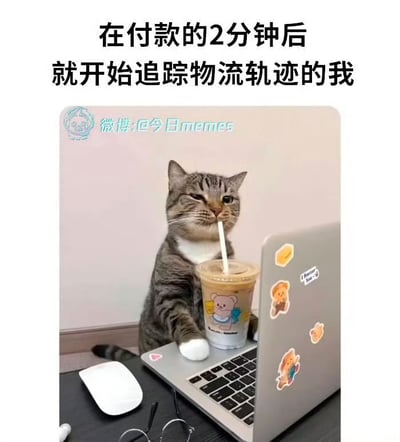 这张图用了一只坐在电脑前喝奶茶的猫，来形象表达很多人在网购时，付款刚过一两分钟，就迫不及待开始频繁查询物流信息的搞笑行为。一方面嘲讽了自己的焦虑和期待感，另一方面猫猫的表情和动作带来了强烈的萌感和幽默氛围。

无双关或敏感暗示，是典型的现代网购买家心态写照。