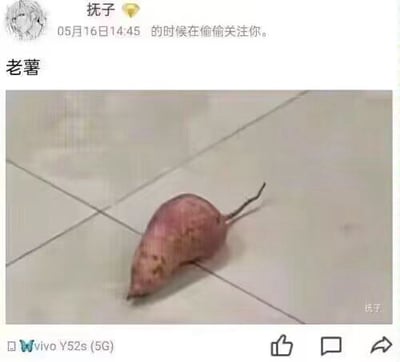 这是一张社交媒体动态截图，顶部显示用户“抚子”于05月16日14:45发布的内容“的时候在偷偷关注你”，下方配文“老薯”，配图是一个摆放在浅色瓷砖地面上的带须红薯，利用“老薯”与“老鼠”的谐音，结合红薯外形类似老鼠的特点玩谐音梗，截图底部显示发布设备为vivo Y52s (5G)，还有点赞、评论、转发的互动功能按钮，右下角带有“抚子”的水印。