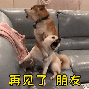 狗狗依偎告别场景：再见了朋友