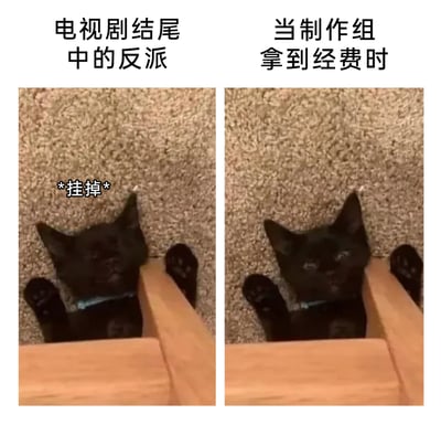 这是一张左右分栏的对比梗图，使用同一只黑猫的两种状态来调侃影视行业的常见套路。左侧区域上方配文“电视剧结尾中的反派”，图内黑猫双眼紧闭、四肢摊开，搭配*挂掉*的文字，还原了多数电视剧里反派在结局被击败“死亡”的场景；右侧区域上方配文“当制作组拿到经费时”，图内黑猫半睁双眼，神态看起来像是“活了过来”，暗指很多影视制作组在获得经费后，会为了制作续作或维持热度，强行让原本结局死亡的反派角色以各种方式复活，用宠物的趣味状态放大了这种行业现象的荒诞感，十分诙谐。