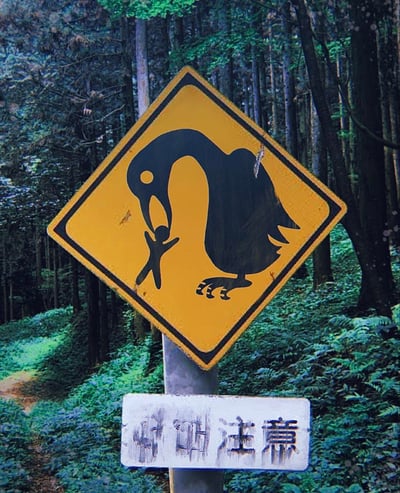 这是一张设置在林间道路旁的搞笑警示梗图，将标准的野生动物避让交通标志进行二次创作，把原本的动物图案改成了一只巨大的剪影大鹅叼着一个小人的画面，下方的白色提示牌文字磨损严重，仅能看清“注意”二字。图中用夸张的方式提醒路人该区域有具有攻击性的大鹅，兼具搞笑效果与警示作用，没有谐音梗或双关含义。