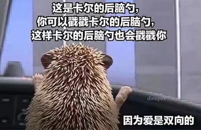 图片展示了一只名为卡尔的刺猬的背影，它站立在汽车仪表盘上，两只小爪子搭在方向盘边缘，背部的刺清晰可见。图片上方和下方分别配有文字：“这是卡尔的后脑勺，你可以戳戳卡尔的后脑勺，这样卡尔的后脑勺也会戳戳你”和“因为爱是双向的”。整体画面温馨可爱，通过拟人化的方式传达“爱是双向的”这一温暖主题。
