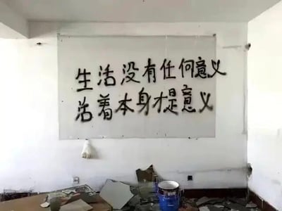 这是一张原始拍摄的静态单图，画面呈现了一个处于装修或废弃状态的杂乱房间：白色墙面上用黑色喷漆写下两行文字“生活没有任何意义 活着本身才是意义”，地面散落着装修废料、板材，还有一个蓝色油漆桶，墙面下方还挂着沾有涂料的滚筒刷。墙上的文字传递出对生活本质的思考，点明活着本身就是生活的核心价值，与杂乱的环境形成一种反差，更凸显出文字的哲理感。
