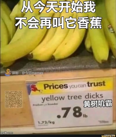 这是一张经过译制改编的国外恶搞梗图，画面主体是超市货架上的几串黄色香蕉，下方的价格标签被恶意修改为带有低俗含义的英文“yellow tree dicks”，国内译制时将其谐音翻译成“黄树叽霸”，并在画面顶部添加中文文字“从今天开始我不会再叫它香蕉”，通过低俗谐音的反差感制造搞笑效果，图中还带有译制者标识、社群号码以及原图片来源的水印。