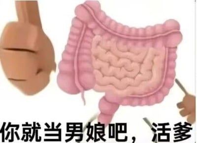 这是一张经过P图改编的3D渲染人体器官图，画面主体是人体的结肠肠道模型，左右两侧还有类似肢体的器官，底部配有文字“你就当男娘吧，活爹”。图中运用了谐音梗，“活爹”谐音“结肠”，结合网络热词“男娘”，用严肃的医学器官图搭配调侃的网络话术，制造出荒诞搞笑的反差效果，用来进行趣味调侃。