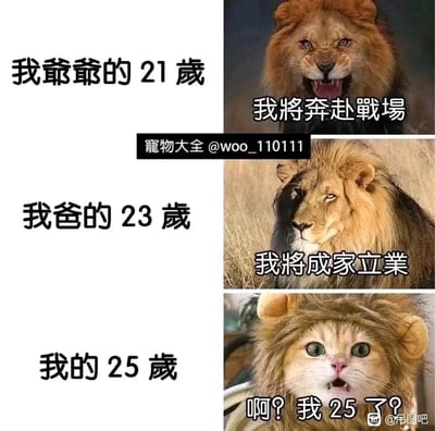 这是一张三格对比类梗图，通过三代人在相近年龄段的不同状态，调侃了时代变迁下年轻人的心态差异。第一格是爷爷21岁的状态，用愤怒嘶吼的狮子形象搭配文字“我將奔赴戰場”，展现出那个年代年轻人怀揣热血、肩负时代担当的人生目标；第二格是爸爸23岁的状态，以神态沉稳的狮子形象配文“我將成家立業”，体现出上一辈年轻人在该年龄阶段明确的人生规划与责任意识；第三格是“我”25岁的状态，用戴着狮子头套、满脸惊讶茫然的猫咪形象配文“啊？我25了？”，生动表现出当代部分年轻人到了一定年龄却对人生缺乏规划、充满迷茫的状态，通过强烈的反差引发当代年轻人的共鸣。