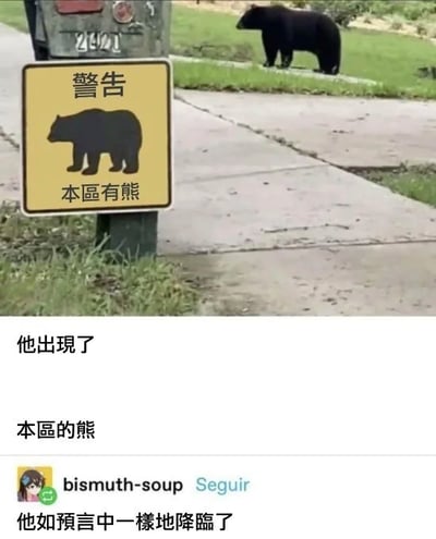 暂无描述