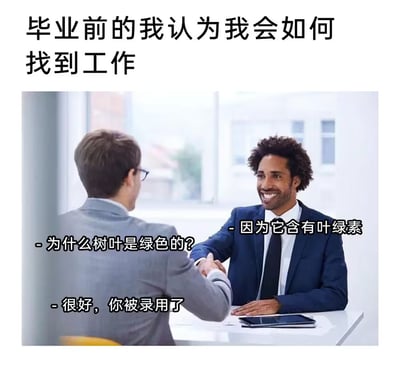 这是一张以典型面试场景为背景的梗图，用轻松幽默的方式反映了刚毕业学生对找工作的天真想象。图片通过“树叶为什么是绿色的”“因为它含有叶绿素”这种中学知识问答，来讽刺部分人觉得只靠背标准答案就能顺利找工作。最后面试官直接说“你被录用了”，造成强烈反差，表达了毕业生理想与现实的落差。

本图有鲜明的现实讽刺意味，适合毕业季/找工作/学生自嘲等场景。