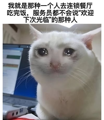 图片上方有一段文字："我就是那种一个人去连锁餐厅吃完饭，服务员都不会说'欢迎下次光临'的那种人"。下方是一只表情悲伤的白猫特写，背景中可以看到一台打开的笔记本电脑。这张图通过拟人化的手法，用猫的悲伤表情来幽默地表达独自用餐时被忽视的孤独感。