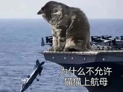 图片中一只体型巨大的猫猫正平静地坐在航母甲板上，背景是广阔的海洋。甲板边缘有一架战斗机正头朝下坠入海中，画面下方配有文字“为什么不允许猫猫上航母”，通过夸张的场景幽默调侃猫猫可能带来的“破坏力”，营造出搞笑的反差效果。