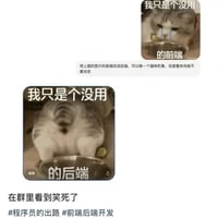 网络热门猫咪表情包