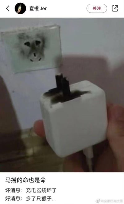 这是一张社交媒体上的搞笑梗图，图中展示了一只被烧坏的白色充电器，其插脚部分和后方插座的烧痕组合在一起，视觉上酷似猴子的脸。配文用反差感的方式调侃倒霉事：“马捞的命也是命，坏消息：充电器烧坏了，好消息：多了只猴子...”，以苦中作乐的心态将电器故障的倒霉事转化为笑点。
视觉梗说明：利用充电器和插座烧坏后的烧痕形成的巧合图案，把故障场景戏称为“多了只猴子”，用幽默化解电器损坏的郁闷。