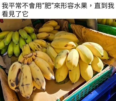 这是一张结合实拍素材的搞笑梗图，顶部配有文字“我平常不會用‘肥’來形容水果，直到我看見了它”，下方画面是摊贩处售卖的多串香蕉，这些香蕉和普通细长形态的香蕉不同，外形短粗饱满、看起来胖乎乎的，恰好呼应配文的描述，形成笑点。