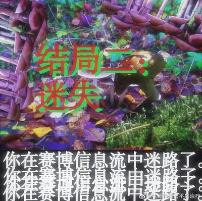 暂无描述
