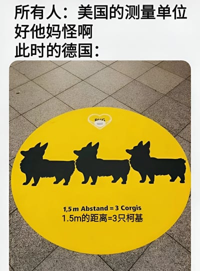 图片上方配有文字“所有人：美国的测量单位好他妈怪啊 此时的德国：”，下方是一张实拍图，展示了地面上的黄色圆形标识。标识内有三只柯基犬的黑色剪影，并标注“1,5 m Abstand = 3 Corgis 1.5m的距离=3只柯基”。整体通过幽默对比，调侃美国常用的非 metric 测量单位复杂难懂，而德国用“3只柯基”来形象表示1.5米的距离，显得更加生动有趣。