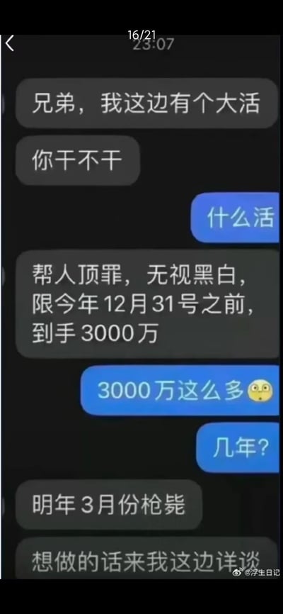 这是一段虚构的搞笑聊天记录截图，对话中一方抛出一个看似高回报的‘大活’：帮人顶罪，在当年12月31日前接手就能拿到3000万酬劳；另一方惊讶于高额报酬，询问需要服刑的年限，得到的回复却是明年3月份就会被枪毙。用‘天价报酬’和‘死刑’的极致反差，制造出荒诞离谱的搞笑效果，没有双关、谐音梗或暗示内容，纯靠离谱的设定博人一笑。