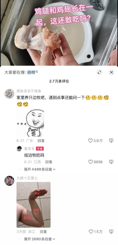 整张图是社交平台内容的拼接截图，上半部分为厨房场景，一只手拿着一块外形特殊、鸡腿和鸡翅连为一体的生鸡肉，上方配粉色文字“鸡腿和鸡翅长在一起，这还敢吃吗？”，表达对这块特殊鸡肉能否食用的疑惑；下半部分是该内容的评论区界面，显示共有2.7万条评论，热门第一条评论来自用户“摸鱼选手不摸鱼”，调侃建议遇到这种拿不准的事可以问家里养的边牧，附带了竖大拇指的滑稽表情包，获得3.9万点赞，内容作者“喜多多”回复反问“给边牧吃吗”，获得9896点赞；另一条热门评论来自用户“九磅十五便士”，发布了一张弯曲的人类手臂照片，分别在手掌、小臂、大臂位置标注“翅尖”“翅中”“翅根”，将人类手臂类比鸡翅结构玩梗回应前文的鸡肉问题，获得1.5万点赞，整体内容充满网友玩梗的轻松搞笑氛围。