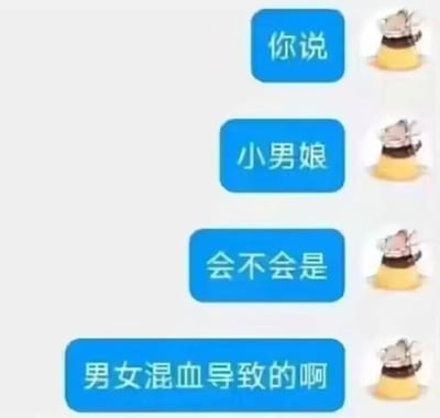 这是一张竖屏格式的即时通讯软件聊天记录截图，属于静态图。图中展示了一段网友的趣味闲聊内容，发送消息的用户使用蓝色气泡承载文字，头像是一个顶部带有装饰的卡通布丁形象，该形象为非真人的卡通角色，无明显动作与表情。用户连续发送四条消息，抛出了一个荒诞无厘头的脑洞猜测：认为“小男娘”是“男女混血”导致的，这个说法完全不符合常识，是将性别特质和错误的血统概念进行关联，制造出滑稽搞笑的效果。针对这个问题，正确的解释是：“小男娘”一般指外形气质偏向柔化的男性，这类特质的形成和遗传、成长环境、个人性格等多种因素相关，和所谓“男女混血”的错误概念没有任何关系。