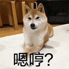 疑惑的柴犬：嗯哼？