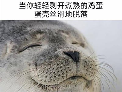 这是一张图文结合的搞笑表情包，图片上方配有文字“当你轻轻剥开煮熟的鸡蛋 蛋壳丝滑地脱落”，下方是一张海豹的特写照片，海豹闭眼微笑，神态十分满足惬意。该表情包用海豹享受的神态，生动类比了人们在生活中遇到剥鸡蛋时蛋壳丝滑脱落这种小确幸场景时的愉悦心情，能够引发大众共鸣，适合在社交平台分享来表达这类微小的满足感。