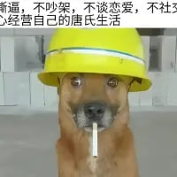 这是一张经过P图改编的网络梗图，主体是一只土黄色的真实狗狗，被P上了黄色工地安全帽，嘴里还叼着一根类似烟的白色物体，狗狗表情木讷无奈，仿佛在摆烂。图片上方配有文字：“断，不吵架，不谈恋爱，不社交，心经营自己的唐氏生活”，其中“唐氏生活”是谐音梗，谐音“躺式生活”，用来表达当代年轻人不想参与社交、恋爱等活动，只想躺平摆烂、过安静佛系日子的心态，用拟人化的狗狗形象来传递这种情绪，搞笑又贴切，很容易引发共鸣。