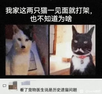 这是一张左右对比的P图改编搞笑梗图，图中左侧是猫身拼接哈士奇狗头的动物，其形象对应冷战时期的苏联；右侧是猫脸拼接狗身的动物，外形类似美国山姆大叔，对应冷战时期的美国。上方配文以主人的视角说道“我家这两只猫一见面就打架，也不知道为啥”，下方评论区的评论则玩梗回应“看了宠物医生说是历史遗留问题”，暗指美苏冷战的对立是“历史遗留问题”，以此将严肃的历史话题用搞笑的动物梗图呈现，制造反差幽默效果。