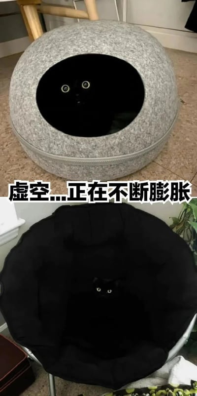 图片分为上下两部分，均为黑猫与猫窝的场景。上半部分中，一只黑猫蜷缩在灰色圆形猫窝里，仅露出两只发光的眼睛，猫窝内部漆黑如虚空；下半部分，同一只黑猫（或另一只相似黑猫）蜷缩在黑色圆形猫窝里，身体几乎与猫窝颜色融为一体，仅头部和眼睛清晰可见。中间配有文字“虚空...正在不断膨胀”，幽默地表现出“虚空”（黑色区域）从上部到下部逐渐扩大的视觉效果，营造出搞笑又神秘的氛围。