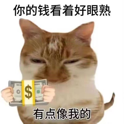 一只表情疑惑又审视的猫，本体是真实动物。猫咪前方被P上了手和一摞美金，画面上方和下方分别写有“你的钱看着好眼熟”和“有点像我的”。整体效果是猫咪假装认领别人钱财，带有强烈的微妙幽默感，广泛用于社交网络调侃“你的东西我很眼熟”、“很像是我的”等场合。
双关梗：这里的“有点像我的”是网络流行语之调侃类梗，用猫的表情强化认领属性，表达一种‘假装抢钱’的幽默。