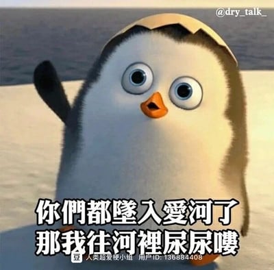 这是一张经过文字加注改编的动画截图，主体是美国梦工厂动画《马达加斯加的企鹅》中的角色菜鸟（Private），它头顶着半个破裂的蛋壳，站在雪地与海面的背景前，眼睛圆睁，露出无辜又搞怪的神情，一只翅膀抬起，姿态显得随性又滑稽。图片下方配有黑色加粗的文字：‘你们都坠入爱河了 那我往河里尿尿喽’，以一种戏谑、破罐破摔的口吻，表达了单身人士在目睹他人陷入恋爱时的自嘲心态，通过将抽象的‘爱河’具象化，用无厘头的行为制造反差笑点，适合用于调侃自身单身状态或是吐槽身边好友恋爱的场景。