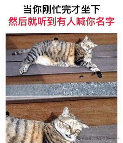 图片上方配有文字“当你刚忙完才坐下 然后就听到有人喊你名字”，其中后半句为红色突出显示。下方由两张虎斑猫的照片组成：第一张照片中，虎斑猫四肢舒展地躺卧在木质地板上，表情放松惬意；第二张照片为该猫的特写，眼神中透露出明显的无奈与不情愿，仿佛刚放松下来就被打扰。整体通过猫咪的表情变化，生动形象地展现了人们在忙碌后刚想休息却被突然打断时的真实感受，引发共鸣。