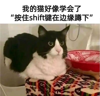 这是一张趣味玩梗的图文内容，上方配文“我的猫好像学会了‘按住shift键在边缘蹲下’”。图中的黑白奶牛猫前半身趴在带有彩色民族风花纹的平台边缘，后半身悬空，其姿势完美还原了多款射击类游戏里，玩家按住shift键静步蹲在掩体边缘的经典操作姿态。将现实中猫咪的巧合姿势与游戏操作梗结合，营造出强烈的搞笑反差感，既展现了宠物的可爱，又贴合游戏玩家的共同记忆，充满趣味性。