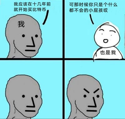这是一张四格连环梗图，以Wojak系列的灰色小人代表懊恼的自己，白色简约小人代表理智的自己。第一格中，灰色小人产生“应该在十几年前就买比特币”的后悔想法；第二格中，白色小人戳破现实——“那时候你只是个什么都不会的小屁孩”；第三格灰色小人露出无语的表情；第四格灰色小人则恼羞成怒。整幅图用幽默的自我对话形式，生动表现了人们因错过财富风口而产生的懊恼、无奈又迁怒于自己的复杂情绪，贴近当下人们对错过投资机会的共鸣。