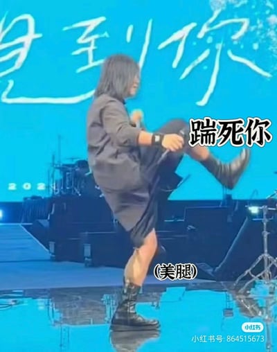 图片中是一位穿着酷帅、黑色服饰与靴子的长发演出者，舞台上高高抬腿做出类似踢人的动作。图片配有夸张的中文文字“端死你”和“（美腿）”，形成对比强烈的幽默效果：既有“威胁”意味，又对踢腿者的腿型进行了夸张称赞，带有调侃、搞笑的氛围。这句话融合了网络二次元语气，“端死你”表达了一种玩笑式的威慑或斗气情绪，而“美腿”则是审美夸张标签，用于搞笑夸赞。 

无明显双关或谐音梗，但存在强烈的网络调侃风格（戏谑中带自恋感）。该图常用来表达“虚张声势的威胁”或带美腿自夸氛围的场合。