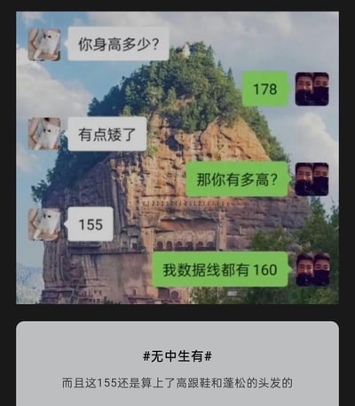 这是一张带有麦积山石窟背景的聊天记录梗图，对话内容充满反差笑点：女生询问男生身高，男生回答178后，女生直言“有点矮了”；男生反问女生身高，女生回复155，男生立刻回怼“我数据线都有160”。下方配文补充“而且这155还是算上了高跟鞋和蓬松的头发的”，用夸张的方式讽刺女生自己身高不高却嫌弃男生的双标行为，搞笑又扎心。
